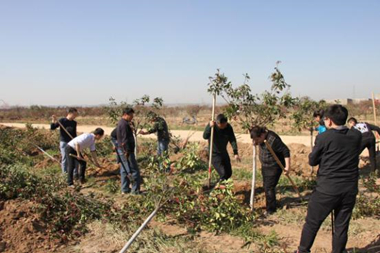 基泰集團與涇河新城水務局聯(lián)合開展春季植樹活動