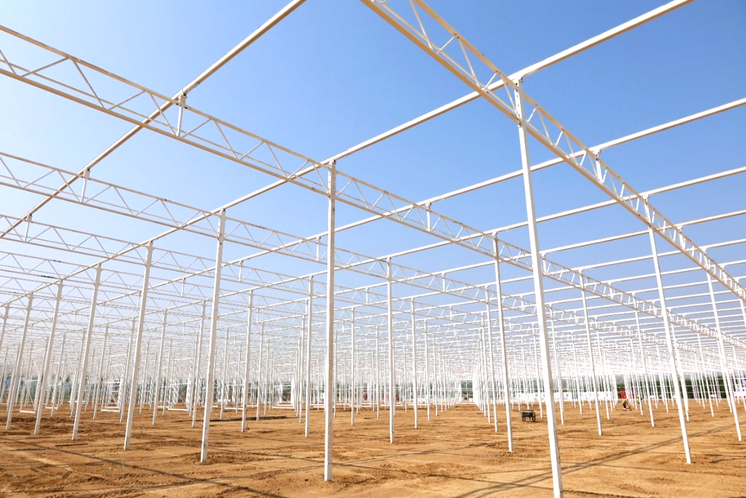 玫瑰溫室主體骨架完工！