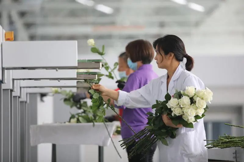 群眾新聞報道基泰園藝！